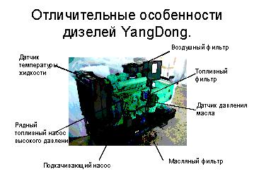 особенности yangdong.jpg